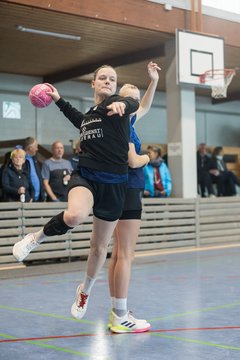 Bild 218 - F HSG Kremperheide/Muensterdorf - HSG Holstein Kiel/Kronshagen : Ergebnis: 31:26